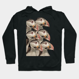 Puffins 6 Hoodie